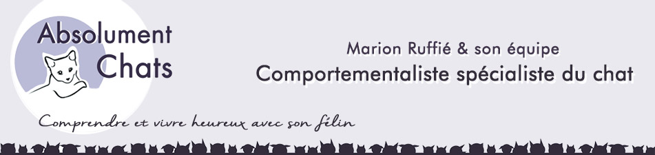 Comportementaliste chat Paris_ Marion Ruffié
