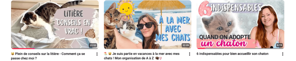la chaîne Youtube de Marion Ruffié, partage plein de conseils sur les chats